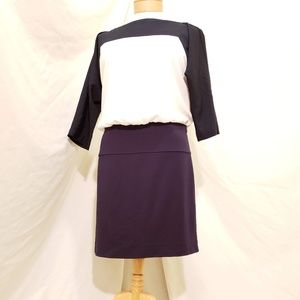 Ann Taylor Loft, Navy Color Block Mini Dress